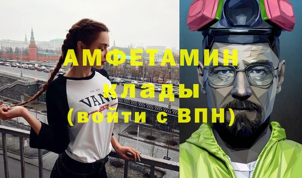 индика Михайловск