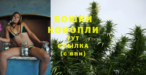 дурь Медвежьегорск