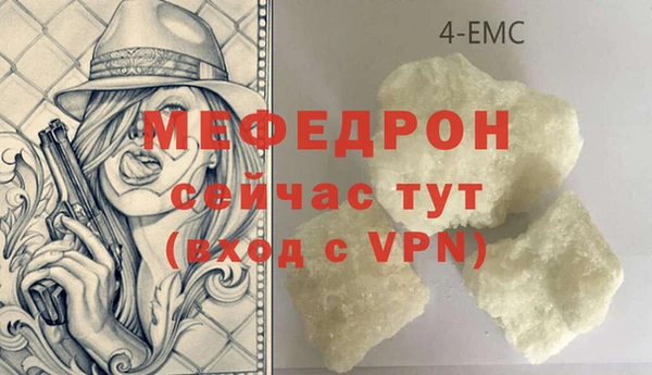 индика Михайловск