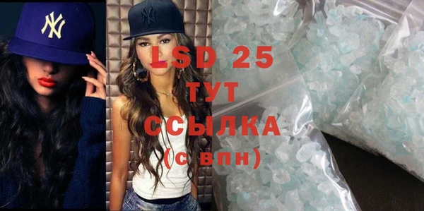 индика Михайловск