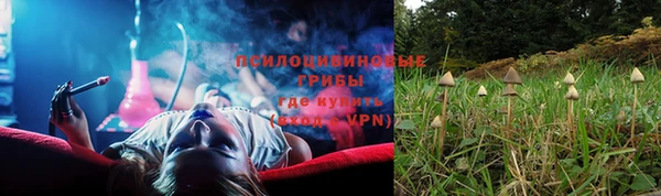 соль ск Алапаевск