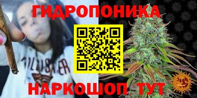 стаф Славянск-на-Кубани